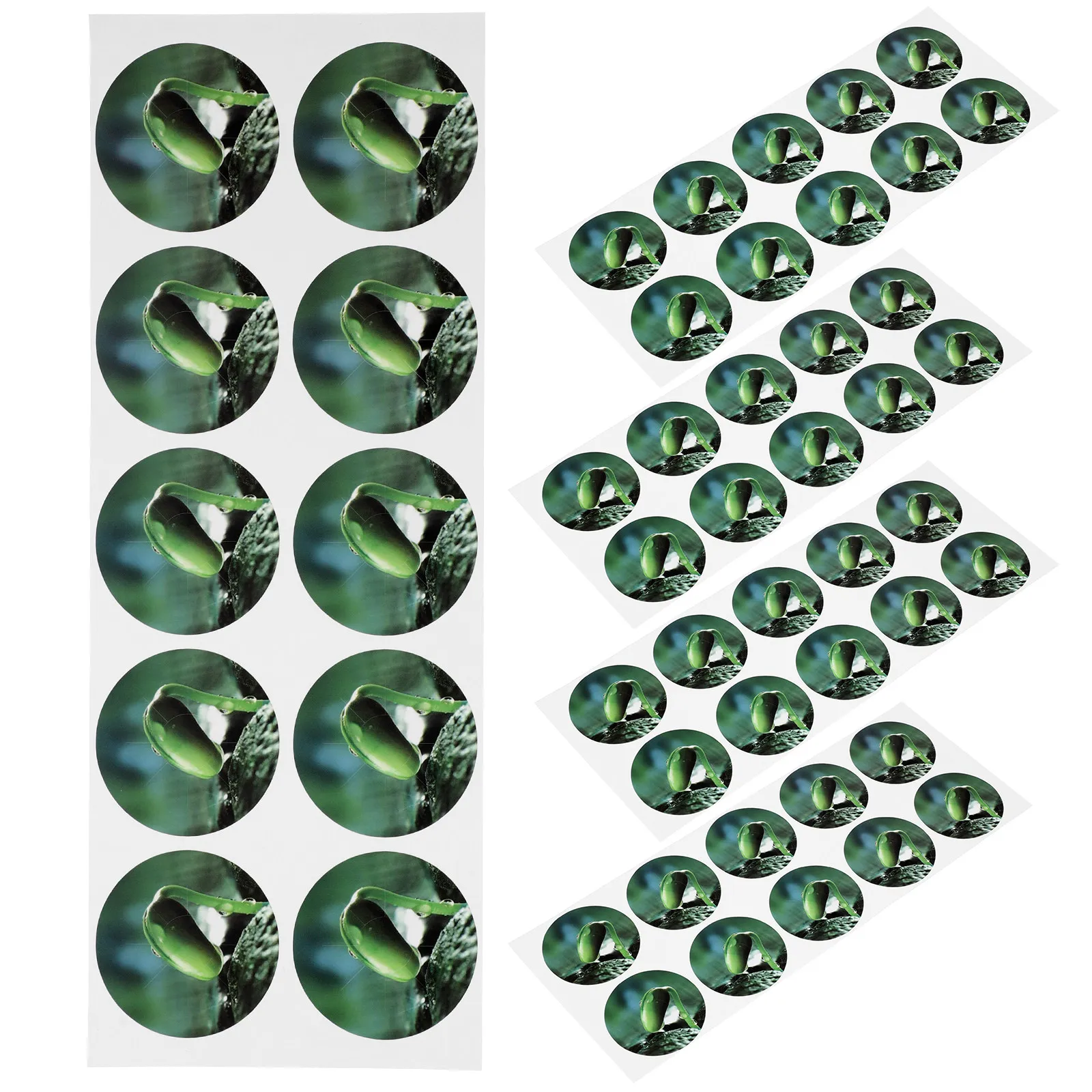 5Sheets Heavy-Duty PVC Seed Pot Labels Large Writeable Surface Strong Stickiness for Hydroponic Pots Plant Marking and