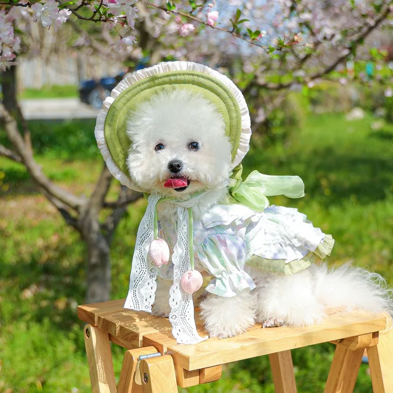 

Lolita Princess Dog Dress for Small Medium Poodle Puppy, Spring Summer Floral Cute Pet Skirt Outfit with Bow, Cat Party Wear