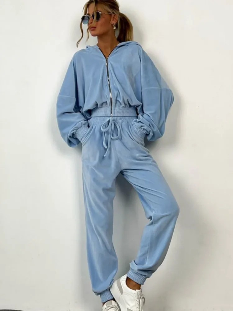 

Women Casual Solid Hoodie Two Piece Set Long Sleeve Coat Zipper Tops And Lace-up Pants Outfits Female Autumn Fashion Loose Sets