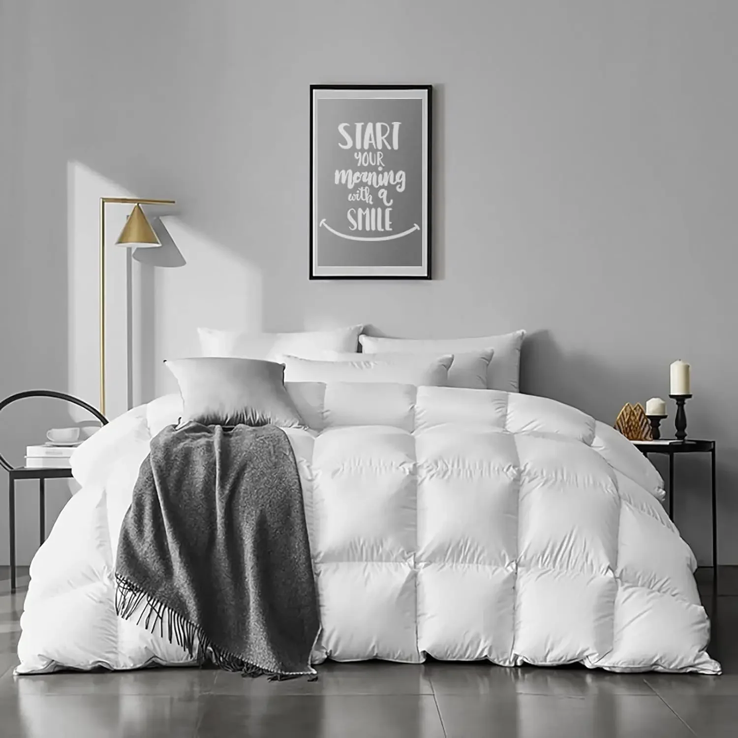 Queen Size Feathers Down Comforter - Ultra Soft All Seasons 100% Organic Cotton Feathers Down Duvet Insert Medium Warm Quilted B