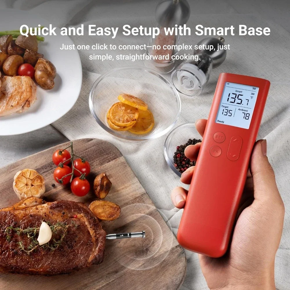 Wireless Meat Thermometer with Standalone Display Base 10X Signal Stability for BBQ Oven Smoker Grill WiFi Unlimited Range