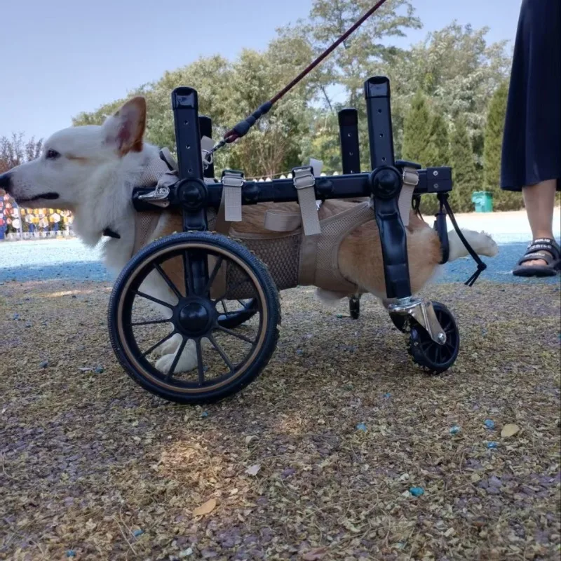 Dog Wheelchair for Rehabilitation & Mobility, Support for Disabled, Senior & Large Breed Dogs | Regain Freedom & Hope