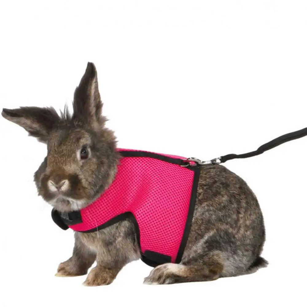 Mutil-Colors Breathable Stylish Vest Small Pet Carrier Bag Adjustable Soft Harness Elastic Leash Set Pet Chest Strap For Rabbits