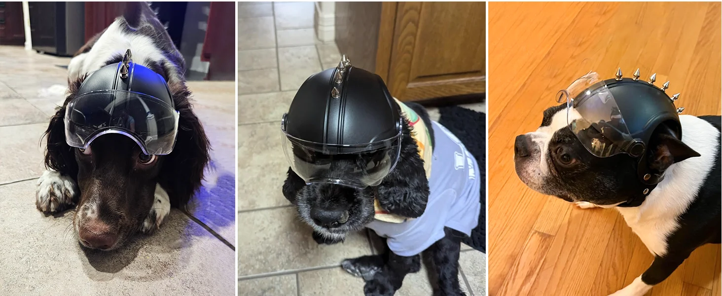 dog helmet