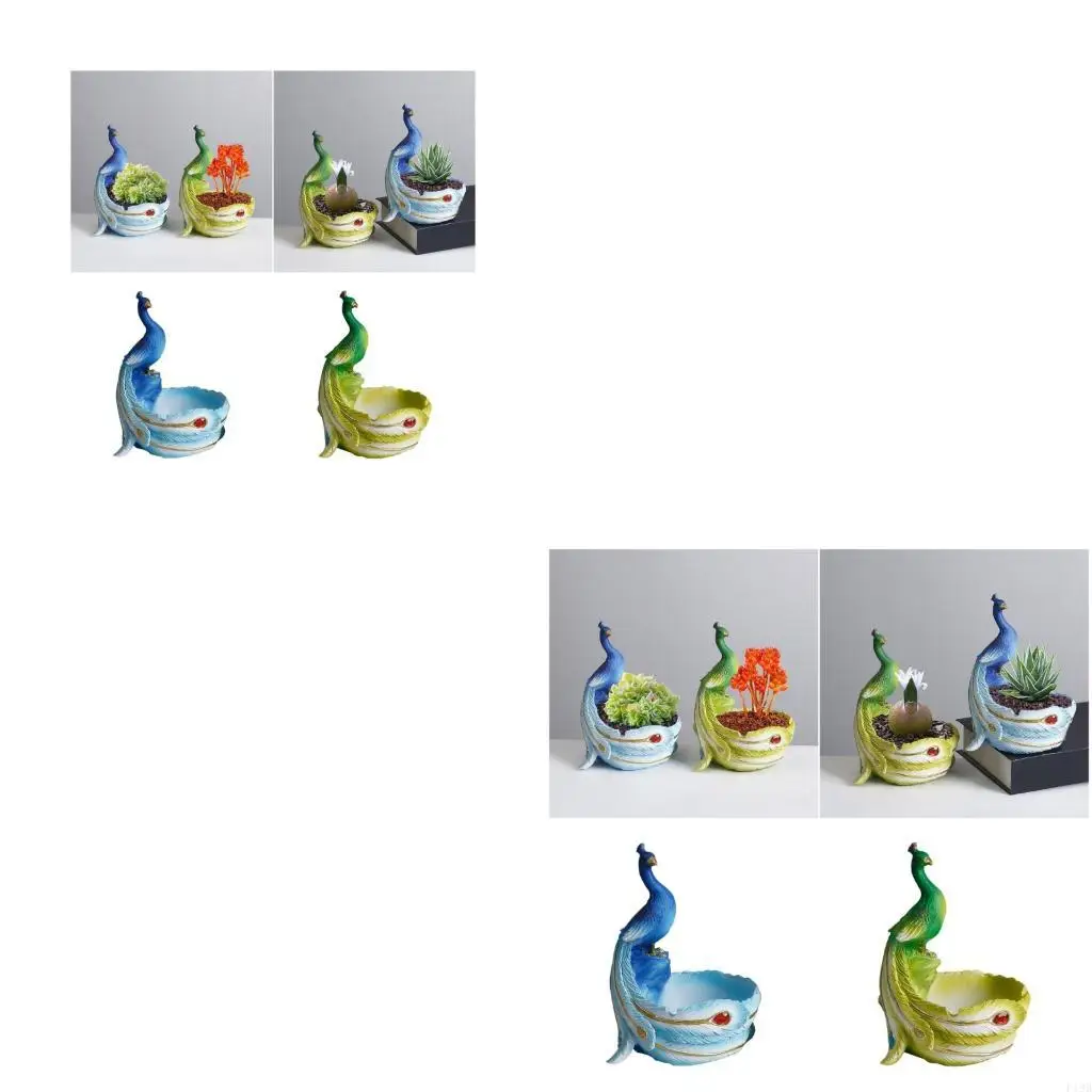 F19B Ceramic Fleshy Plant Pot Planter Peafowl Window Box Cactuses Plant Container Gift for Mom Bedroom Desk Decoration