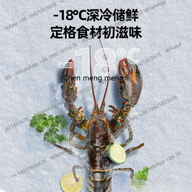 ตู้เย็นสองประตูสำหรับใช้ในบ้าน ขนาดเล็ก แช่เย็นและแช่แข็งให้เช่า ตู้เย็นสองประตูประหยัดพลังงานสำหรับหอพัก