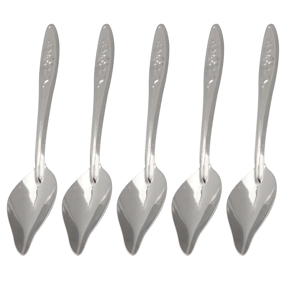 6 Pcs Hand Feeding Formula Birds Stainless Steel Spoon Food Injector Multi-function Baby