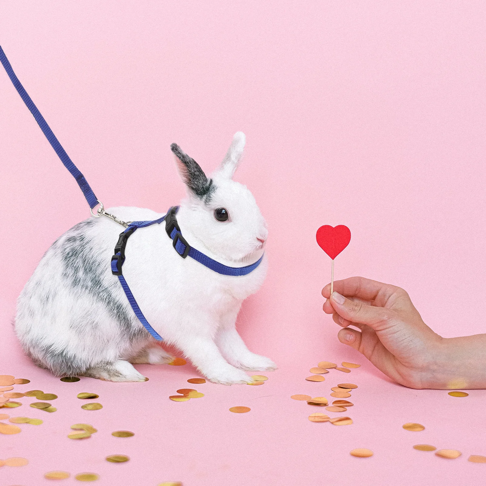 

Ultra Soft Rabbit Harness Leash Lead Adjustable for Guinea Pigs Pet Pigs Walking Outdoor Dark Harness