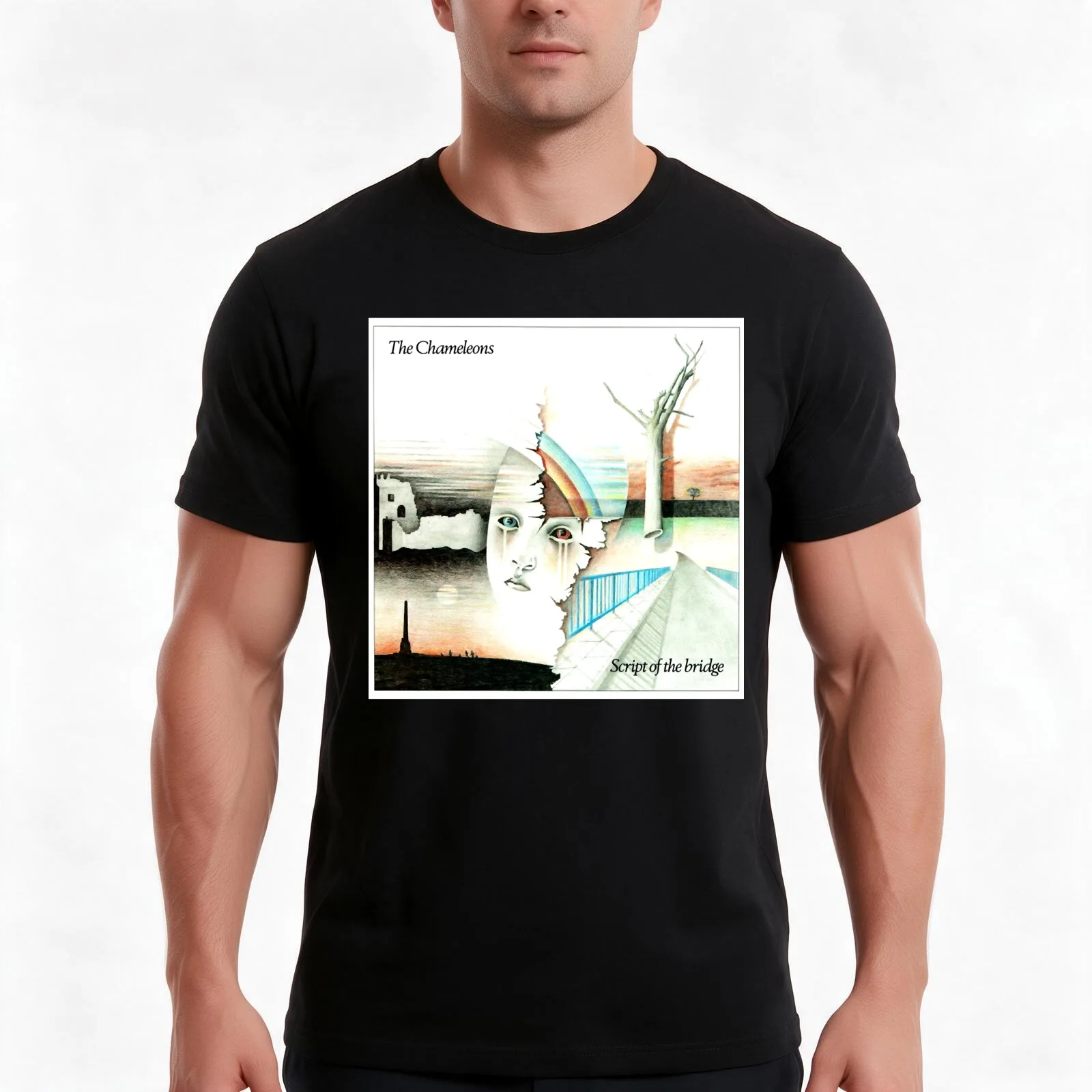 Value The Chameleons Script Of The Bridge Dont Fall Up The Down Escalator T-Shirt, Summer Casual Cotton Tee, Unisex Men Women