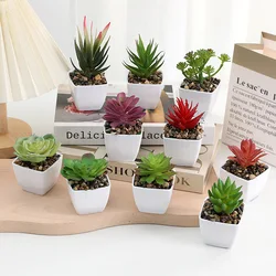 Artificial Succulent Plants Potted Assorted Decorative Faux Succulent Potted Fake Cactus Cacti Plants with Pots Decoration