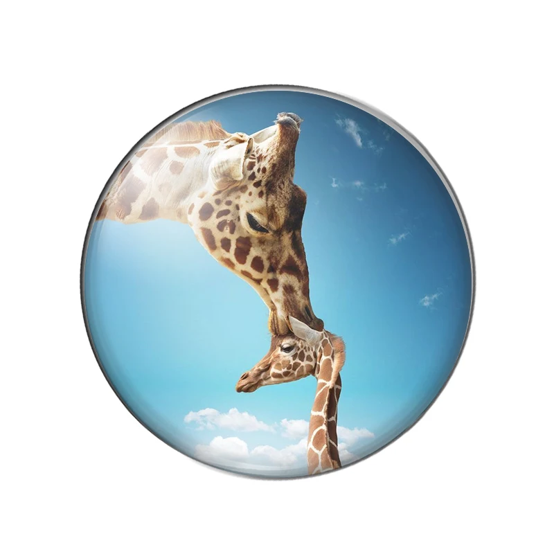 Funny amusing giraffe headshots Art paintings 8mm/12mm/20mm-40mm Round photo Glass Cabochon demo flat back Making findings