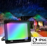 RGB LED Floodlight Reflector Outdoor Flood Lighting 30W 50W 100W IP66 Waterproof Outdoor RGB Spotlight Lamps Landscape Lamp