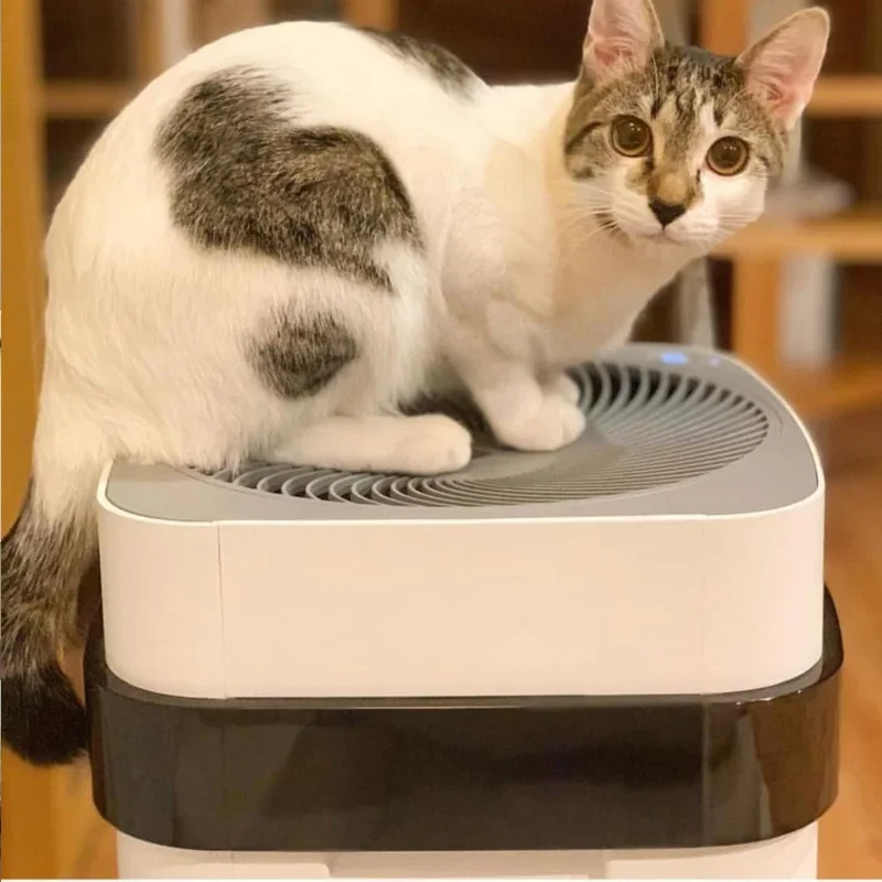 

Patent ETL Certificated Air Cleaning Home Air Purifier for Pet Care