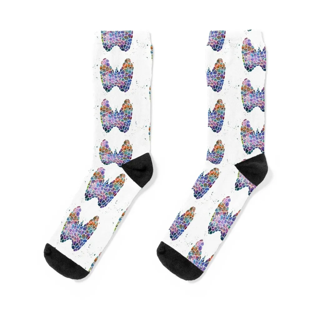 

Thyroid Gland Structural Scheme Anatomy Socks