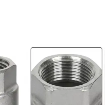 1 NPT Stainless Steel Check Valve Supporting Unidirectional Flow in Plumbing HVAC and Process Industry Installations