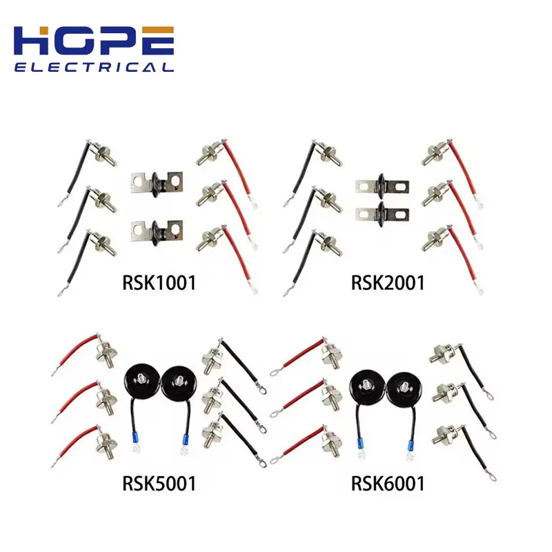 

RSK1001 RSK2001 RSK5001 RSK6001 Generator Bridge Rectifier Diode RSK Series Rectifier Modules