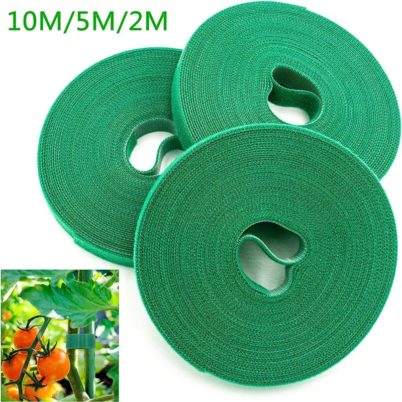 10M/5M/2M Grüne Gartenschnur Pflanzenbinder Nylon-Pflanzenband Garten-Klettband Bambus-Stützband Gartenzubehör