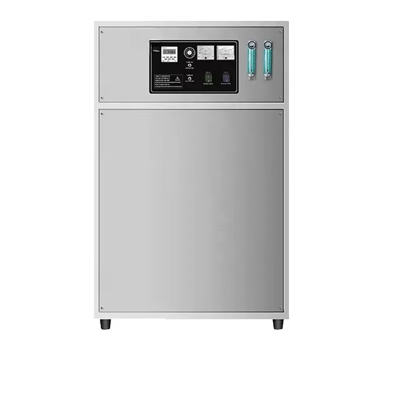 100G High Concentration Electrolysis Ozone Generator with for Swimming Pools