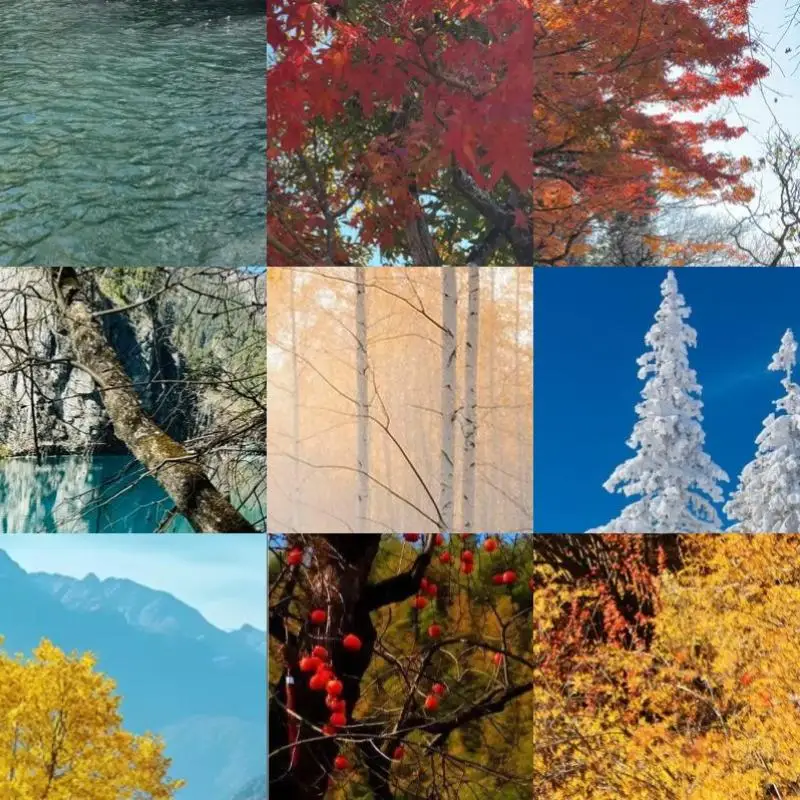 US2.0 Smart Card Re…