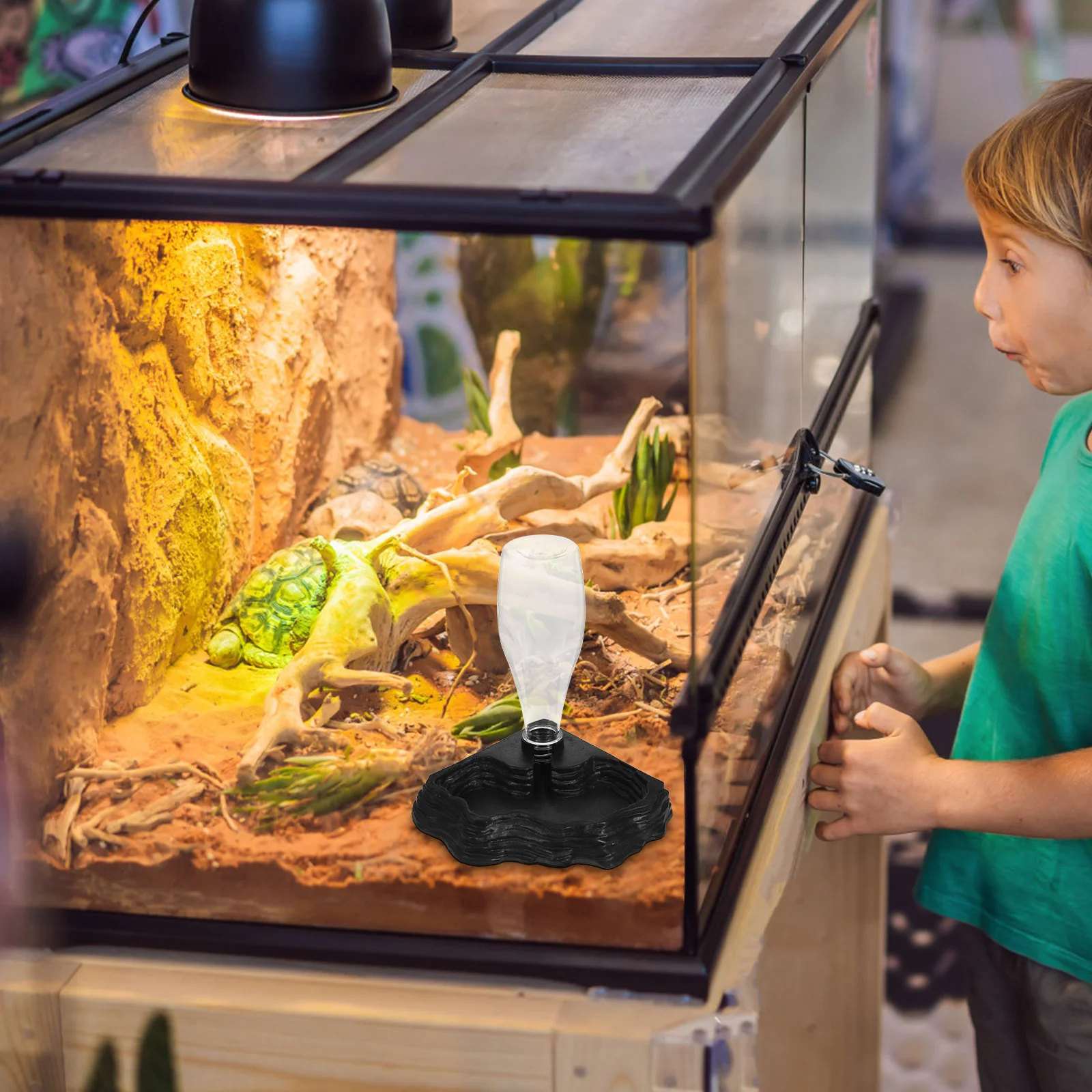 

Automatic Reptile Feeder Black Reptile Feeder Creative Drinking Fountain For Tortoises Lizard Pet Supplies Tool