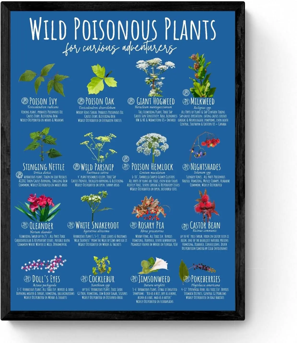 Retro Metal Tin Sign 12 X 16 Inches Wild Poisonous Plants Chart North America Species Educational Poster Nature Center Camp sign