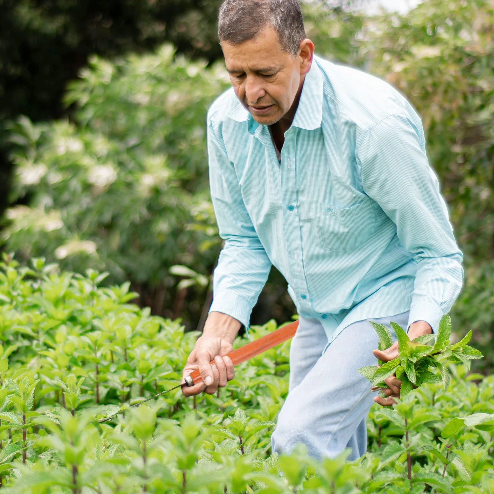 Замена деревянной ручки из твердой древесины для садовых инструментов, мотыковые лопаты, практичная ручка для фермерского инструмента, деревянная ручка лопаты