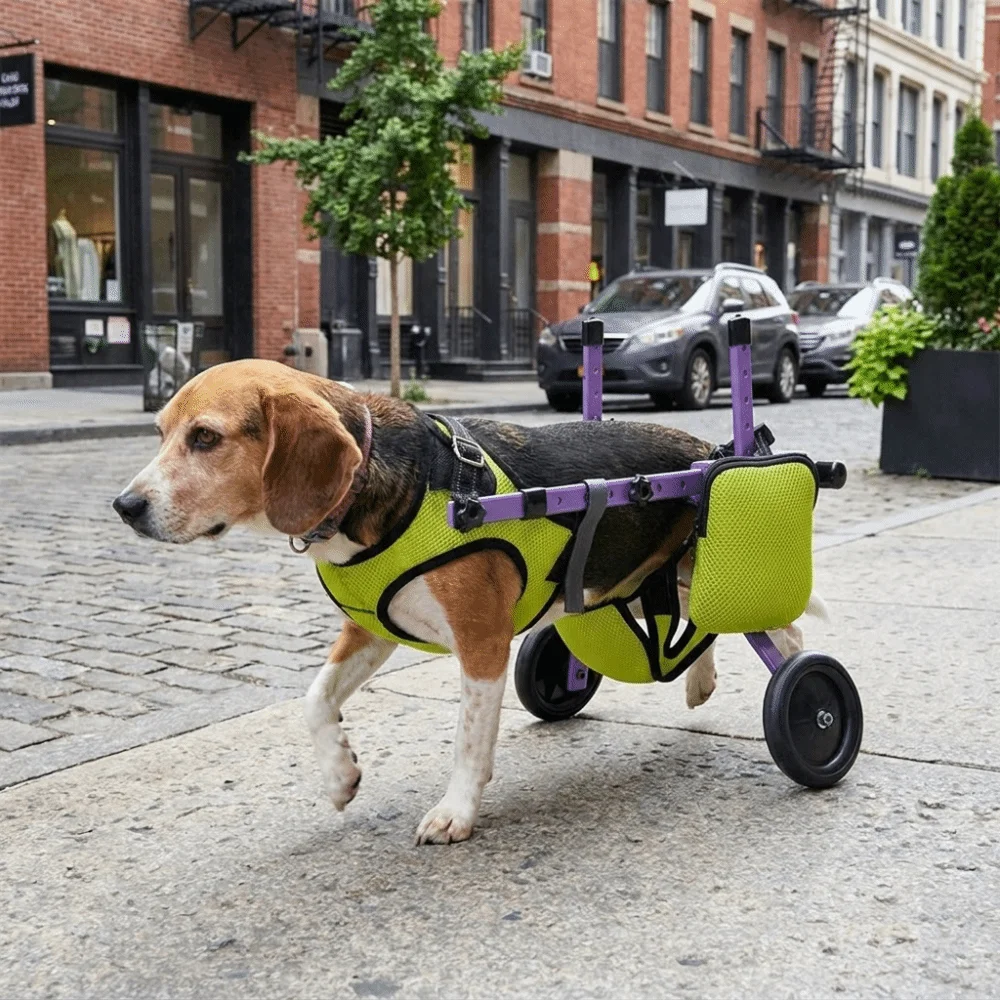 fauteuil-roulant-reglable-pour-chien-support-respirant-pour-pattes-arriere-aide-a-la-recuperation-pour-chat-voiture-avec-roues-aides-a-la-marche-pour-la-reeducation-des-animaux-de-compagnie
