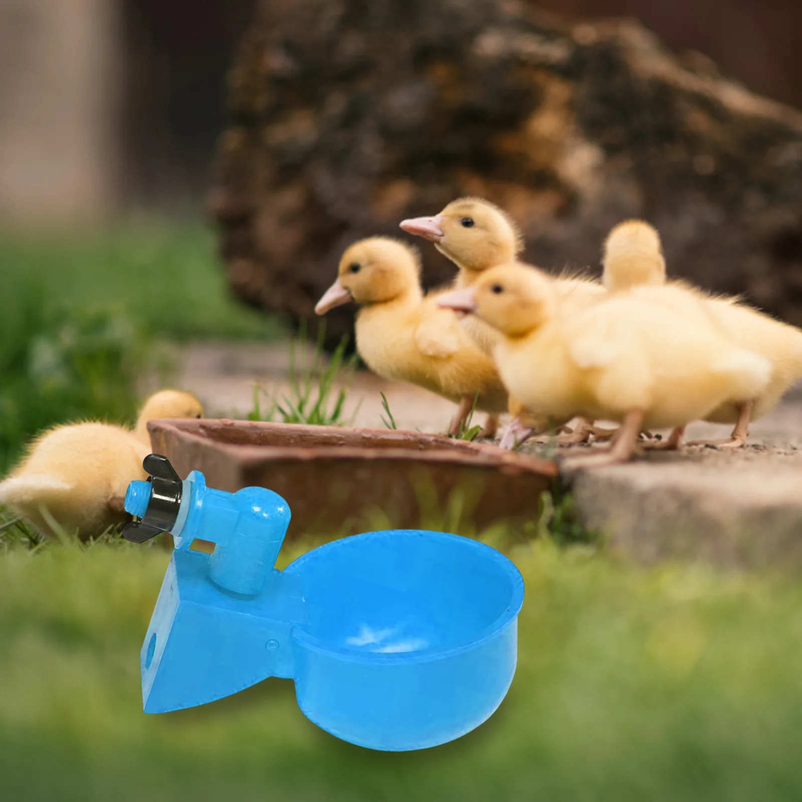 6 pçs frango pato beber tigela pendurado dispensador de água automático frango plástico prático conveniente para alimentação animal da fazenda