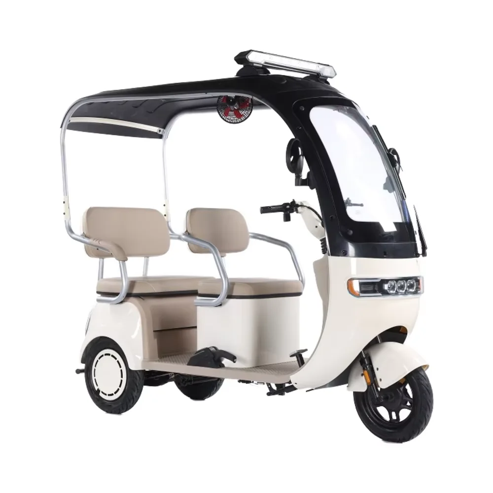 2025 Electric Tricycle with Awning Factory Wholesale City Leisure 600W 60V Lead-acid Battery Two Rows of Electric 3 Seats