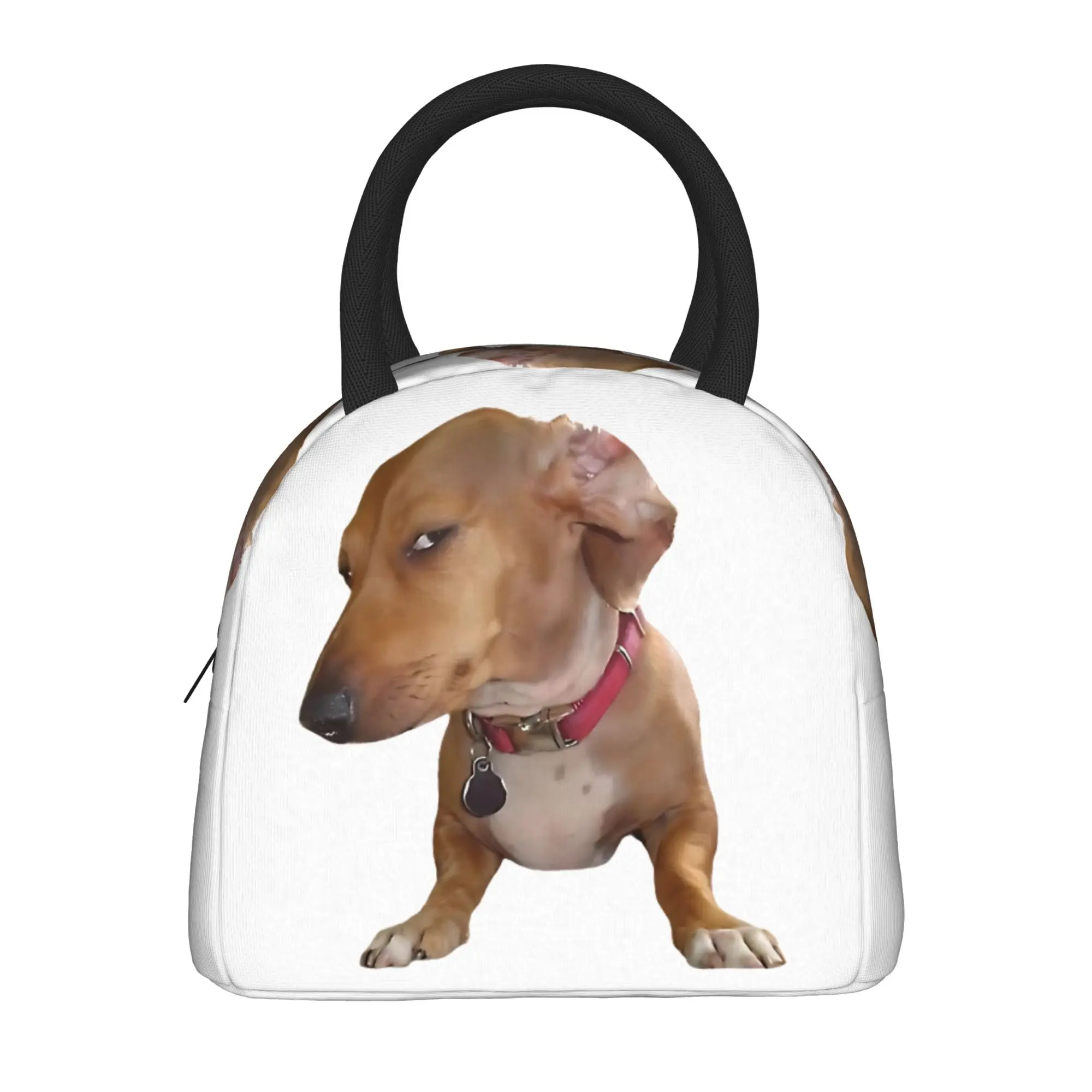 Side Eye Dog Suspicious Look Meme Lunch Bag Cute Lunch Box Outdoor Picnic Portable Thermal Lunch Bags For Men Design Cooler Bag