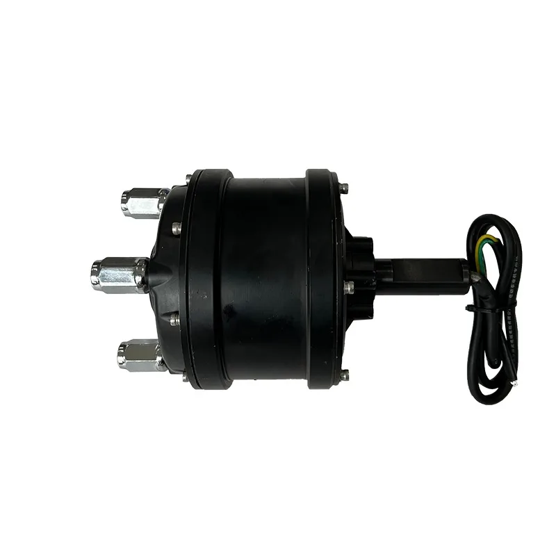 13-16 Inch 100N.m External Hub Motor Brushless Toothless Unilateral Shaft Low Speed High Torque E-Bike Motor