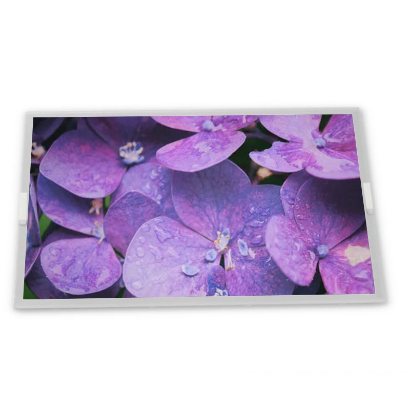 AA084VC03 8.4 Inch 640*480 CCFL TFT-LCD Display Panel Zhiyan supply