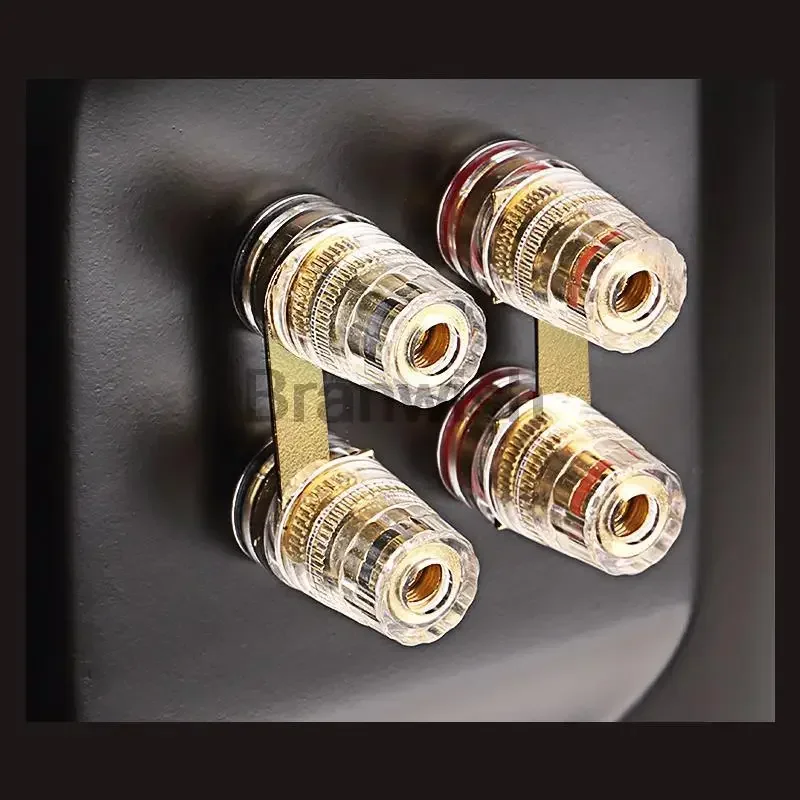 Peiqi 200 واط نسخة مطورة DM8 8 بوصة مكبر هاي فاي ثلاثي الاتجاه السلبي رف الكتب المتكلم المسرح المنزلي المتكلم NPS-01 صندوق الصوت #6