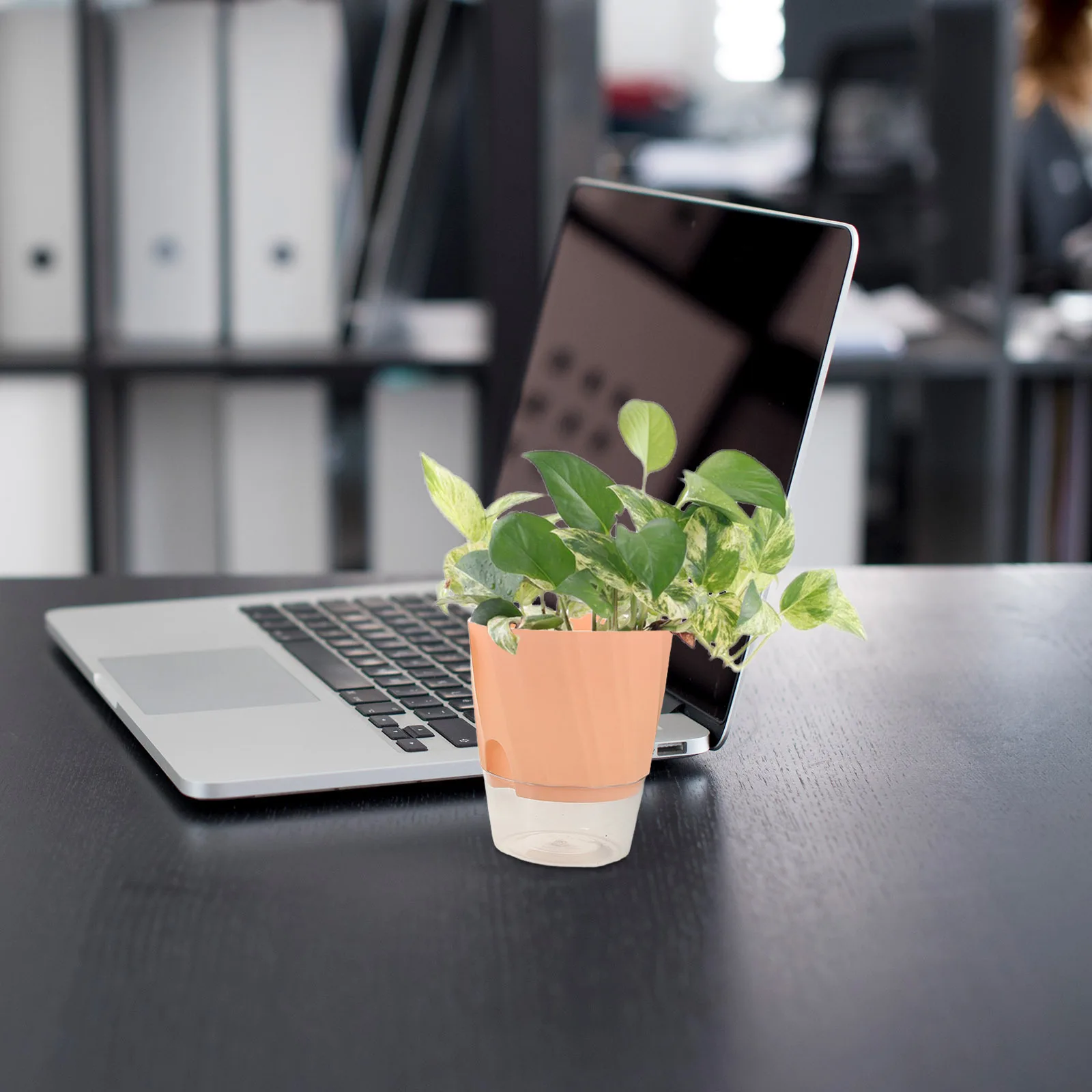 

3Pcs Automatic Water Absorption Flower Pot Clear Self-Watering Planter Transparent Plastic Indoor Greenery Decor