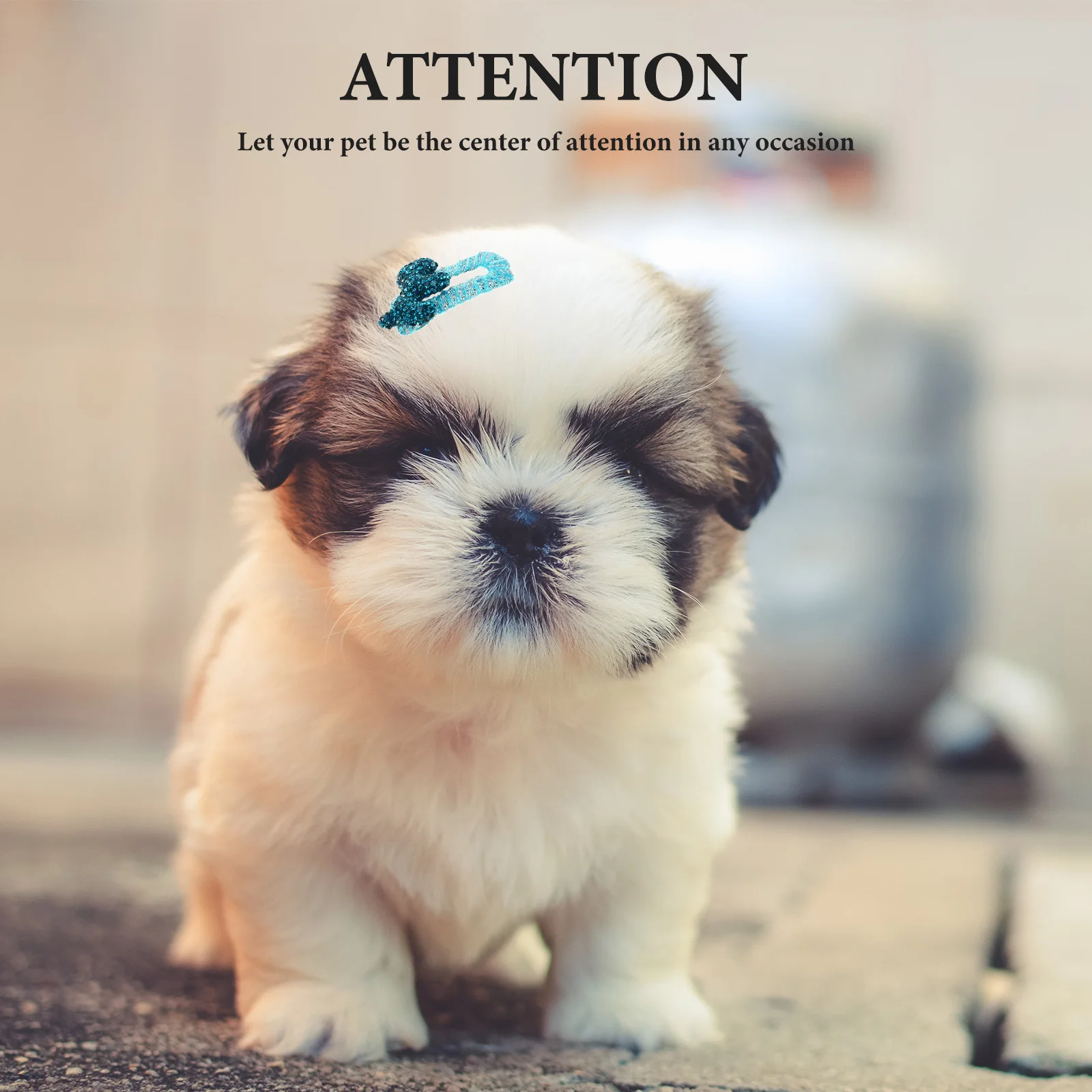 

2Pcs Pet Hair Clips Small Dogs Handmade Durable Hairpins Grooming Styling Cute Dog Hair Accessories Pet Cute Hairpins