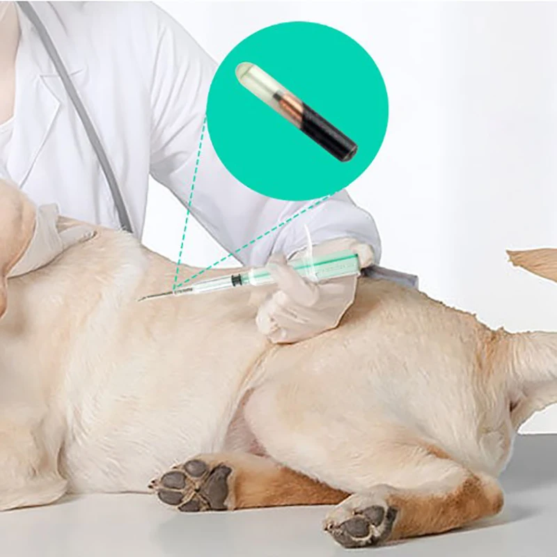 Pet Animal Microchip Syringe 1.25*7mm/1.4*8mm/2.12*12mm Horse Dog Microchip Pets Chips Animals Chip Syringes For Dogs Cats Fish