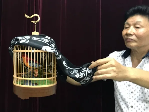 Floating Bird Cage Magic Tricks Magician Stage Street Illusions Props Gimmick One Man Floating Effect Flying Dove Cage Magia