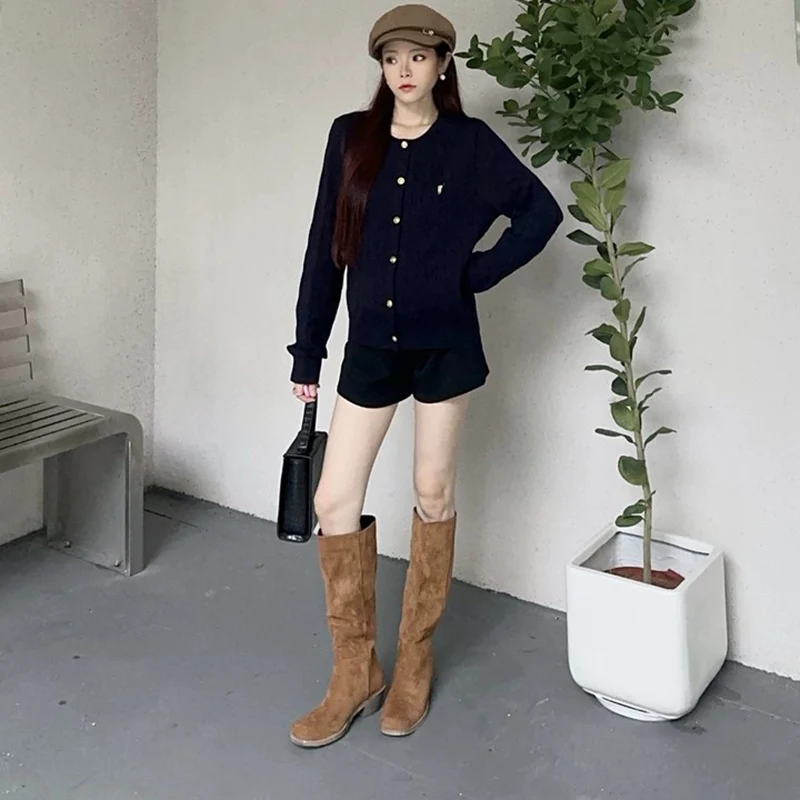 New Retro Brown Western Boots Suede Slip-On Knee-High Boots Women Knight Boots High Heels Women Long Tube Cowboy Boots Women
