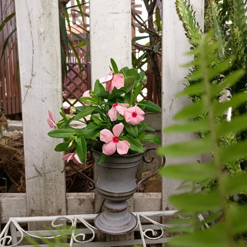 Double Ear Round Mouth Trophy Flowerpot Vintage Iron Plant Pot Homestay Balcony Flower Container