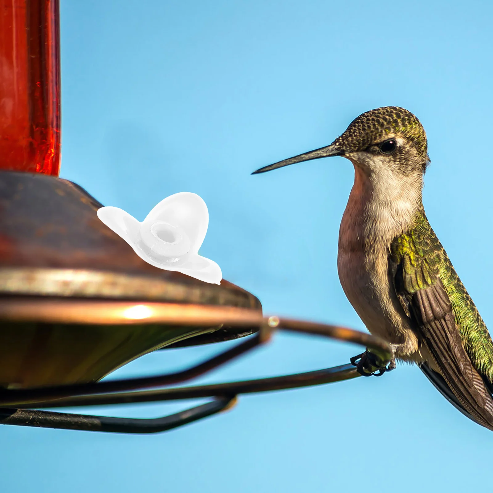 

12Pcs Hummingbird Feeder Flower Replacement Durable Plastic Bird Feeder Parts Outdoor Feeding Ports Feeding Port Replacement