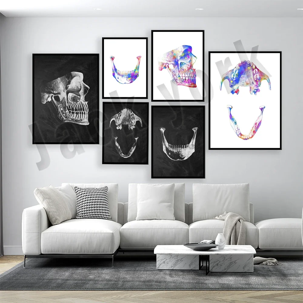 Tooth anatomy, lower jaw and tooth upper jaw diagram, tooth and lower jaw anatomy medical art dental poster dental clinic gift