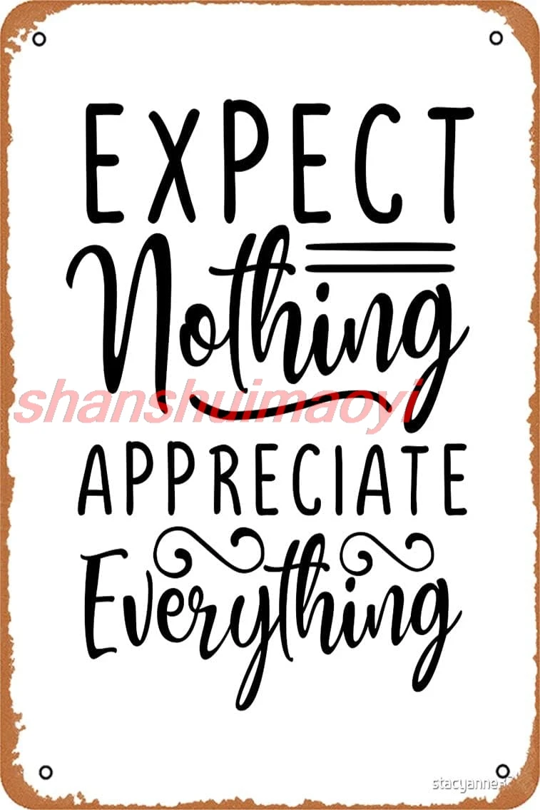 Yzixulet Inspirational Quotes Expect Nothing Appreciate Everything Mounted Print Vintage Metal Sign Tin Sign 12 x 8 Inches sign