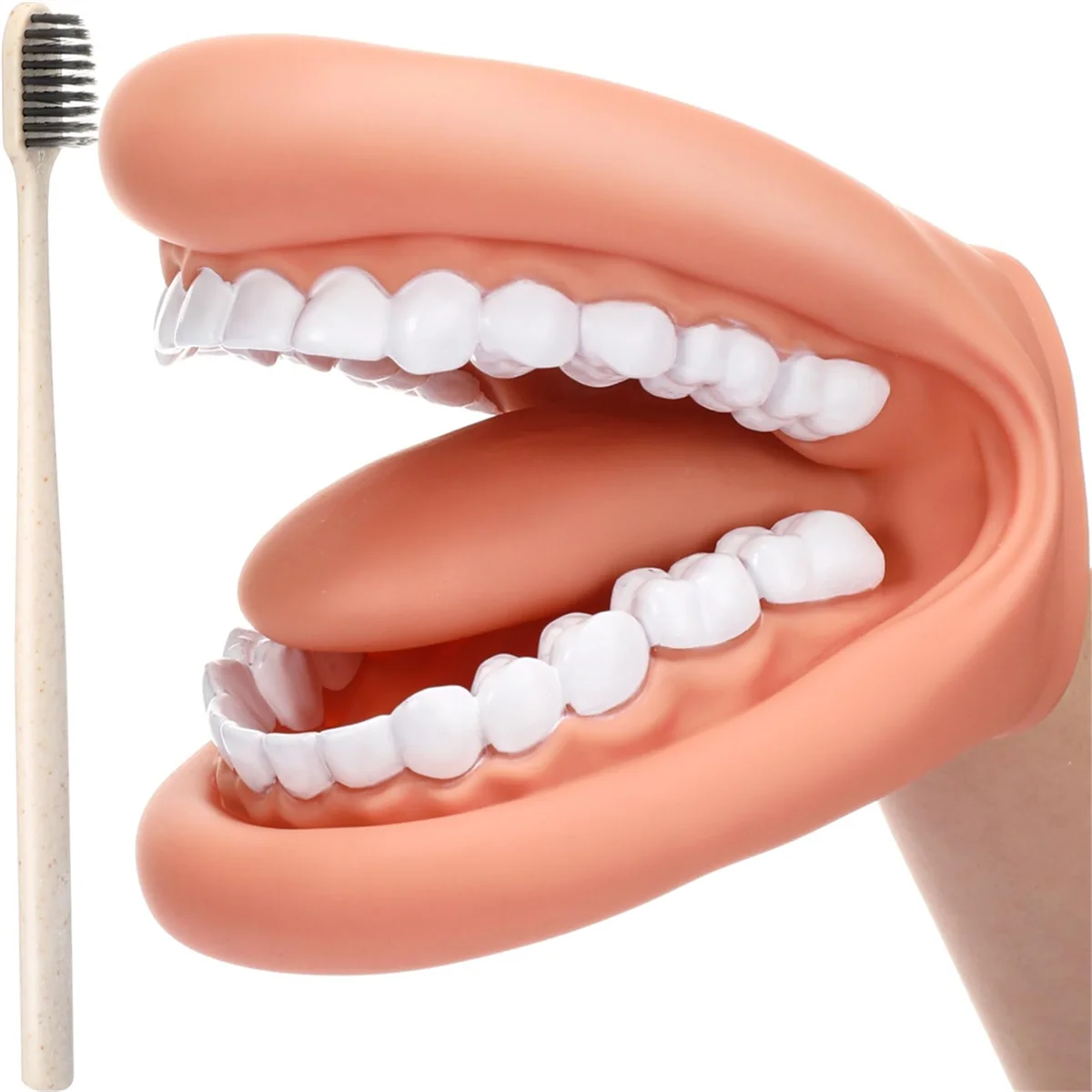 1Pcs Mouth Puppet with Tongue Teeth Mouth Hand Puppet Dental Mouth Model with Toothbrush for Boy Girl Educational Tool