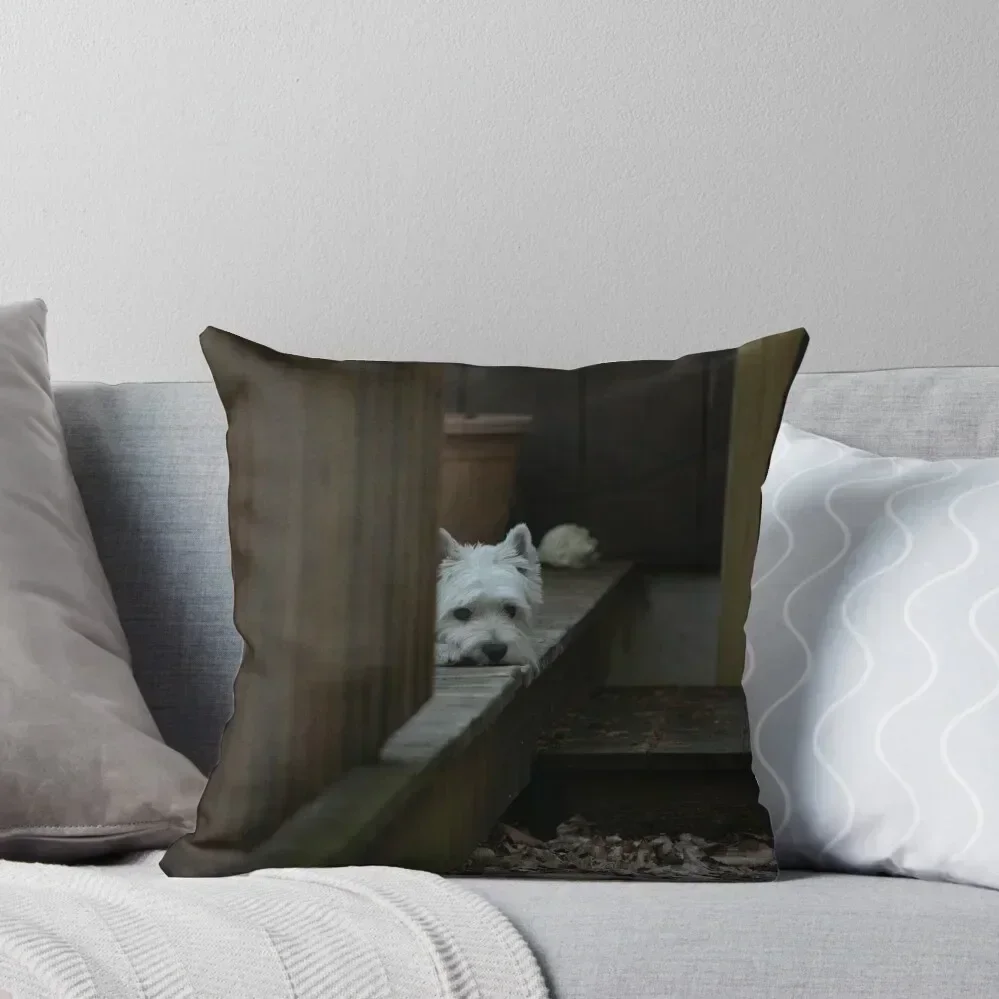 

Lazy Maizie Throw Pillow Cushion Cover For Sofa Elastic Cover For Sofa Pillow Covers Decorative Cushions For Sofa pillow