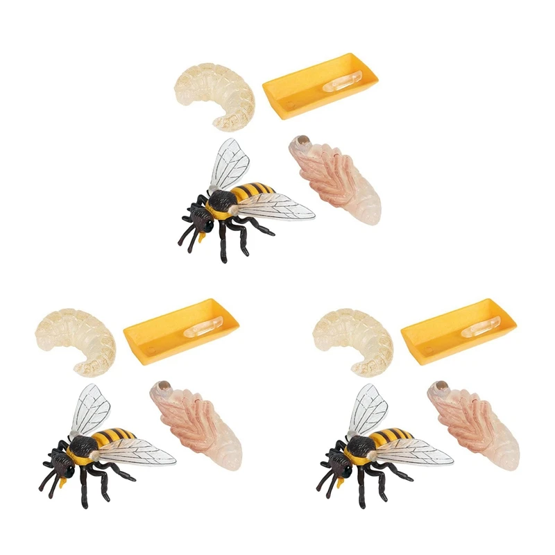 Pack Of 12 Insect Figurines Life Cycle Of Honey Bee Realistic Insects Figures Toys Educational Science Model Toy