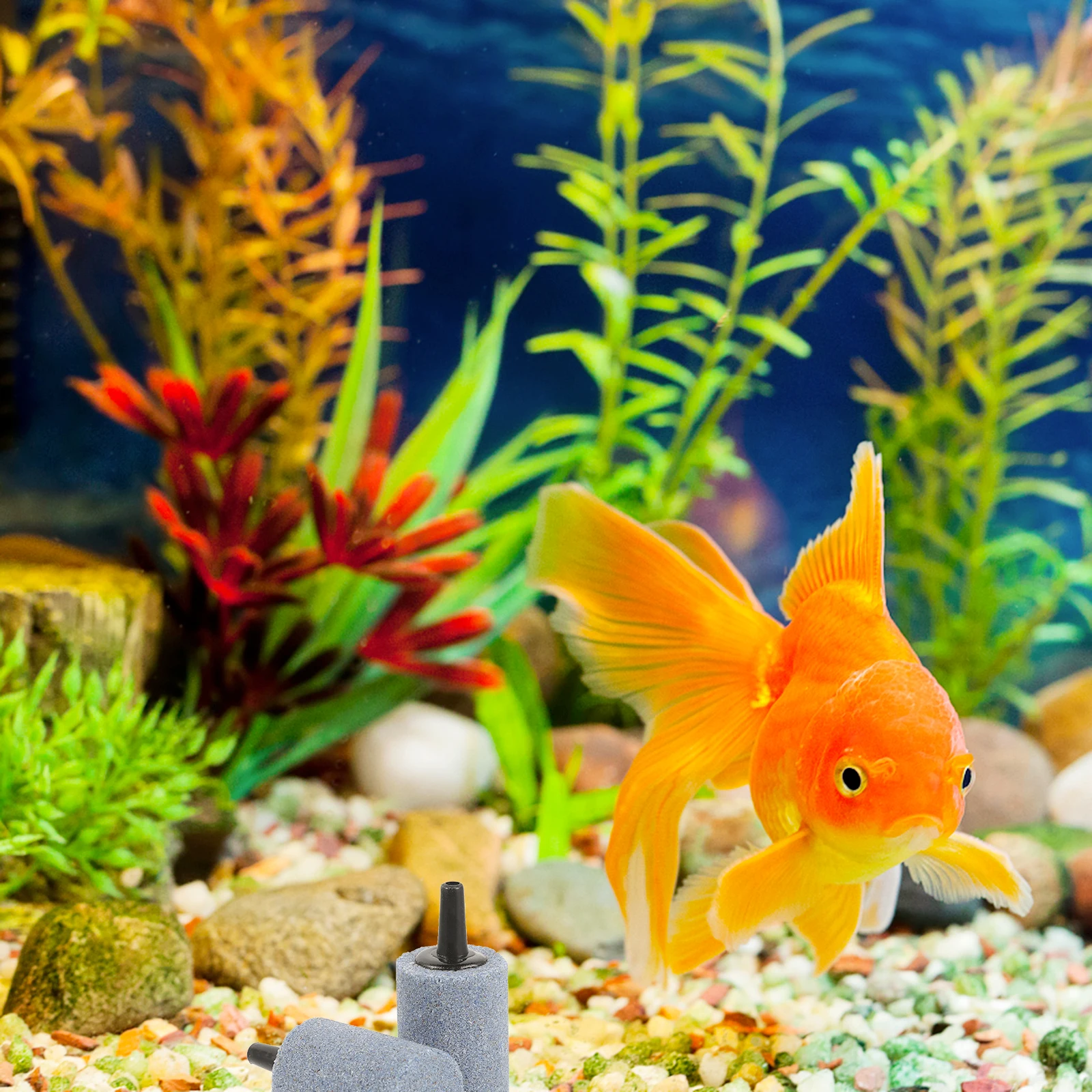

5pcs Air Stone 20x30mm Removable Aquarium Fish Tank Bubble Oxygen Circulation Durable Smooth Uniform Output Easy