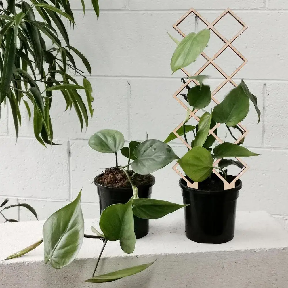 Climbing Ivy Trellis 4pcs Solid Wood Plant Trellis Set Indoor Flower Pot Climbing Vine Support Vertical Garden Mesh Grid for Ivy