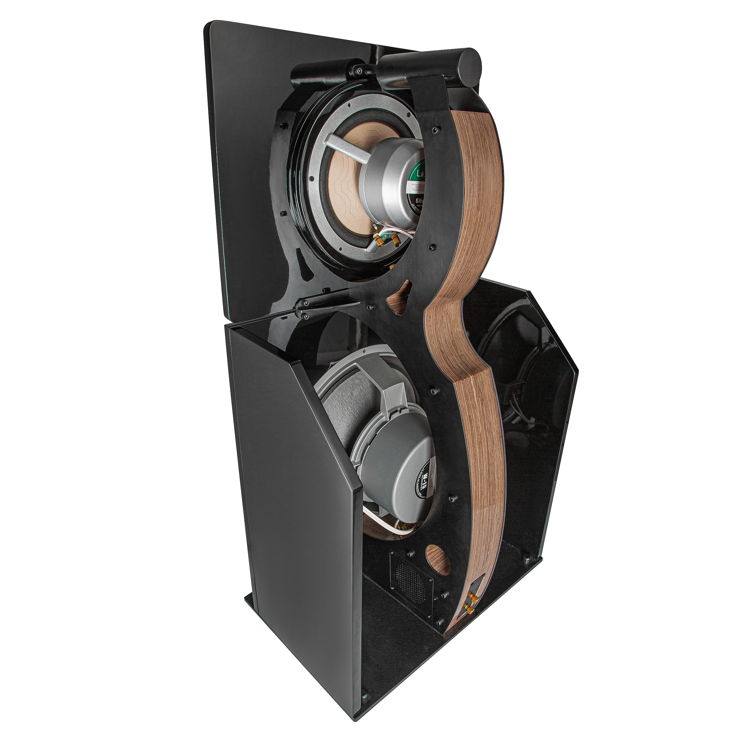 LS-18 مكبر صوت منزلي متطور مقاس 10 بوصة نطاق كامل + مضخم صوت 15 بوصة (زوج واحد)