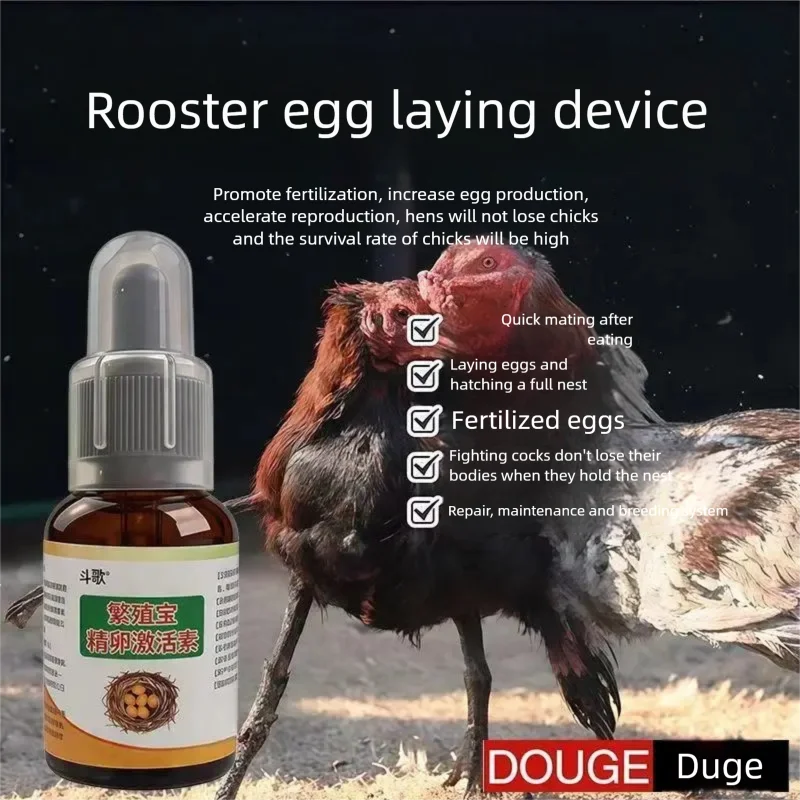 Breeding Treasure for Cockfighting Chicken Breeding Promotes Egg laying Pigeons and Quails to Enhance Reproduction