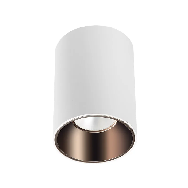 15 Years Gold CETL ETL Listed Supplier IP65 1000lm Surface Mounted LED Downlight 10W 90mm Aluminum Supermarket Contemporary